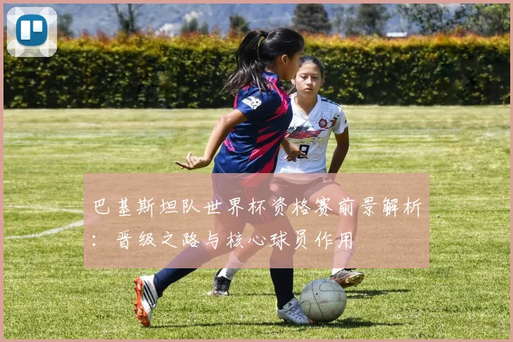 巴基斯坦队世界杯资格赛前景解析:晋级之路与核心球员作用